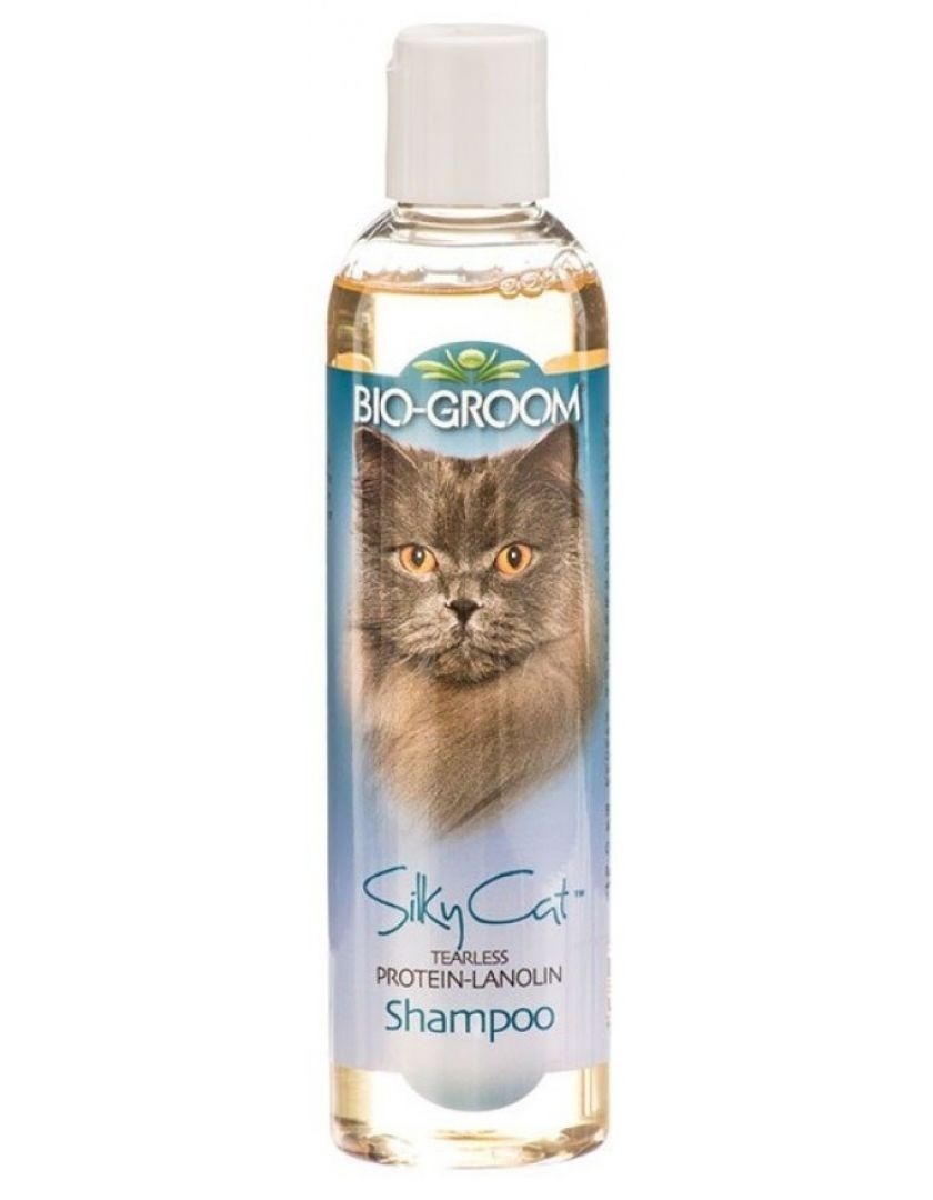 Friday Shampoo.