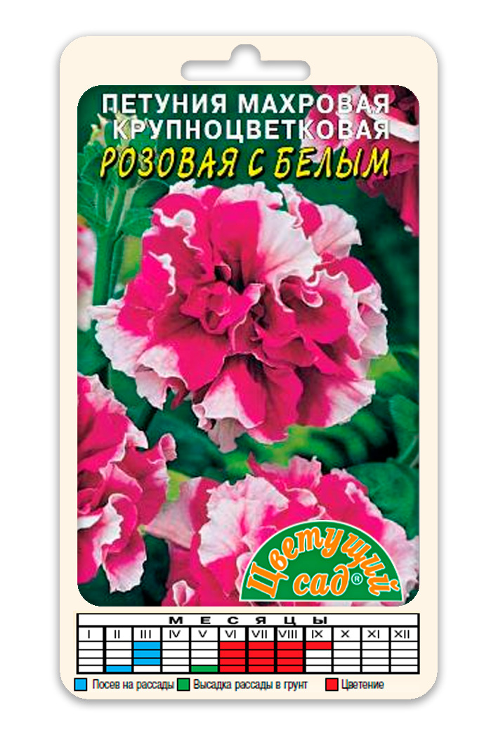 Петуния Яблоневый Цвет Купить