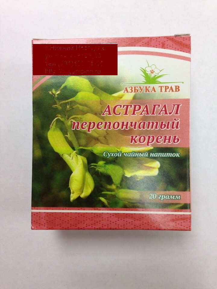 Астрагал перепончатый корень, 20 гр. (Азбука трав) — купить в интернет ...