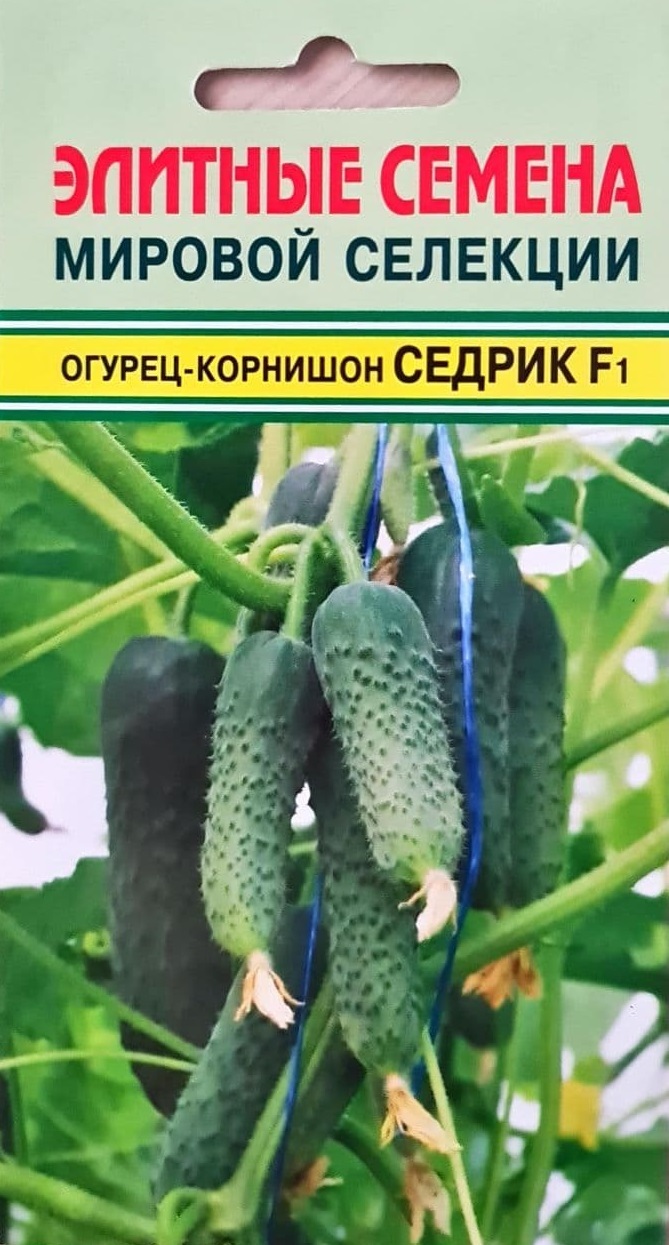 Огурец Седрик