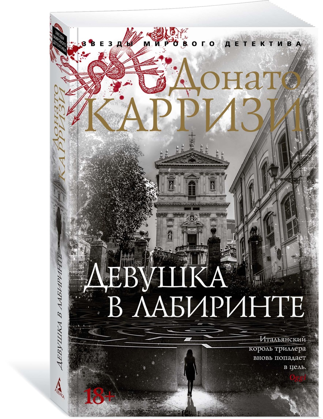 Карризи я бездна. Донато Карризи девушка в лабиринте. Обложка книги Донато Карризи девушка в лабиринте. Девушка в лабиринте Донато Карризи книга.