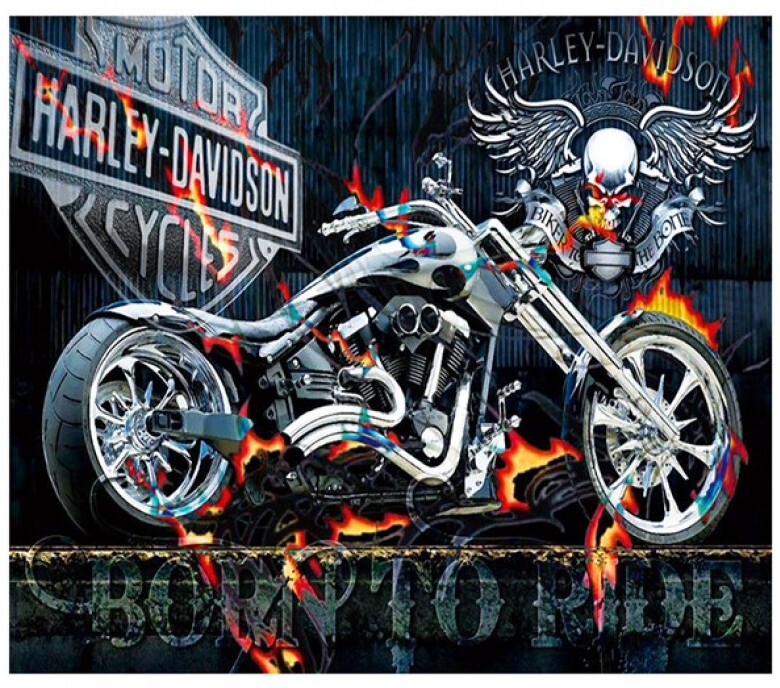 Картина harley davidson