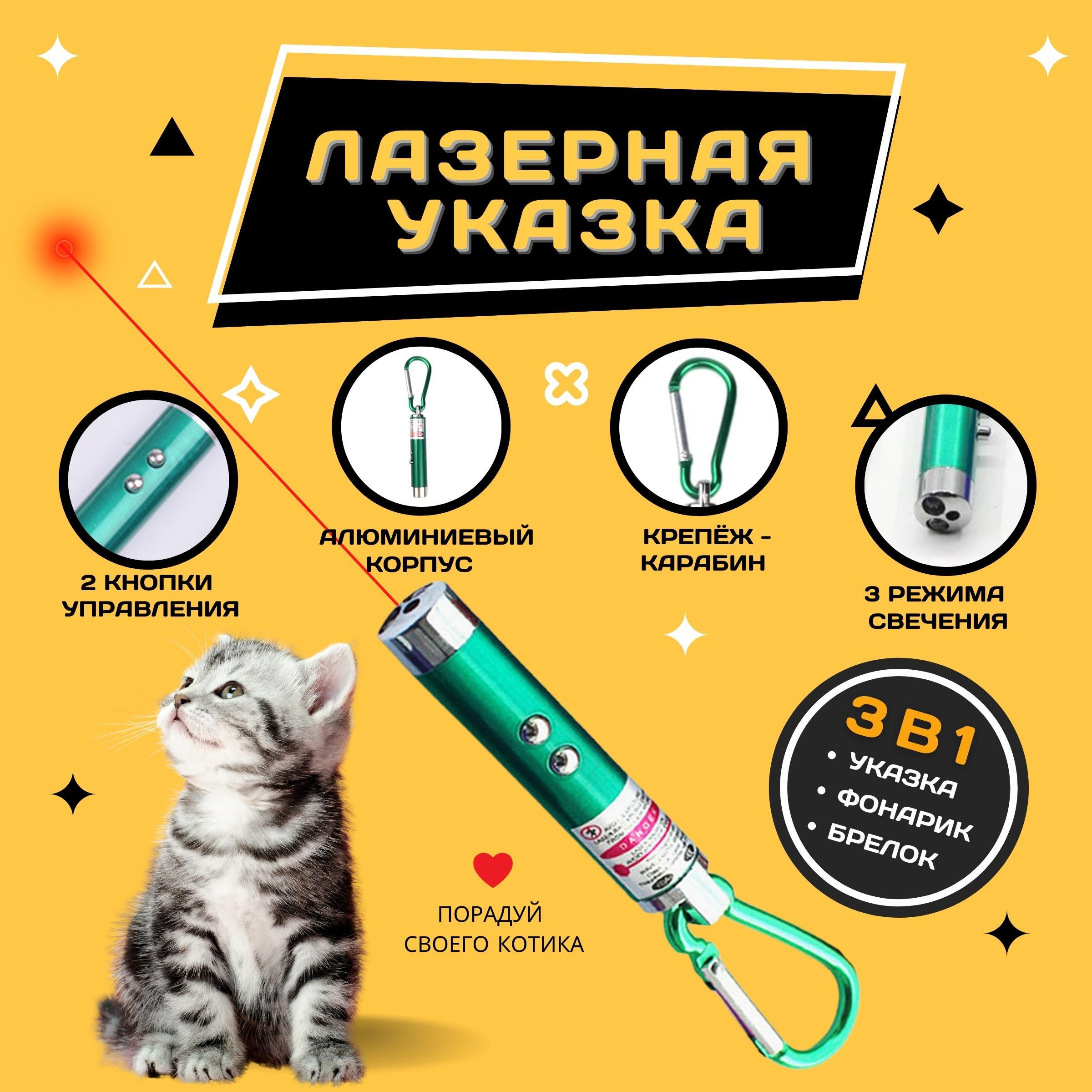 Лазерная указка 3 в 1 / Игрушка для кошек и собак с карабином / для игры с  домашним питомцем - купить с доставкой по выгодным ценам в  интернет-магазине OZON (514865069)