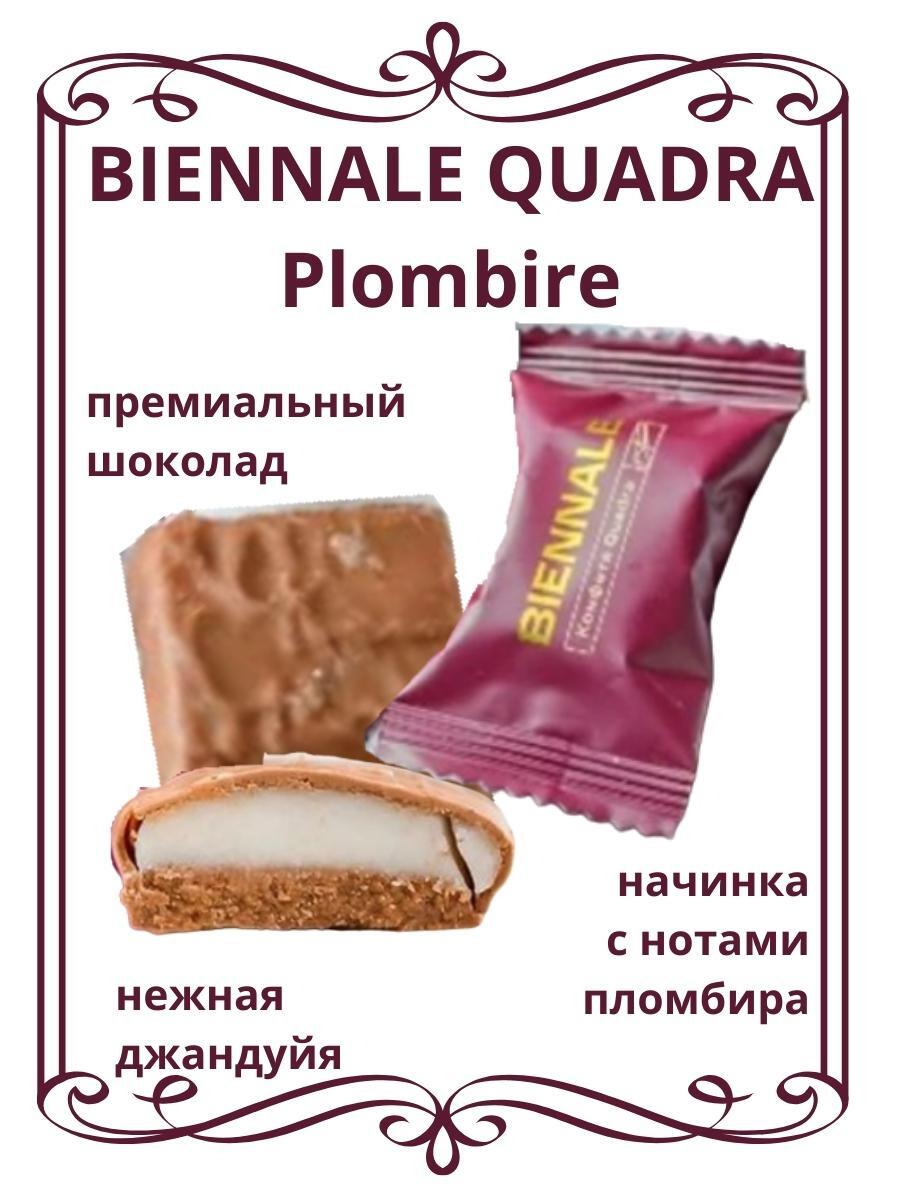 Quadra Plombire Шоколадные конфеты бельгийское пралине, вкус сливочного  пломбира в премиальном молочном шоколаде,250 гр - купить с доставкой по  выгодным ценам в интернет-магазине OZON (582595677)