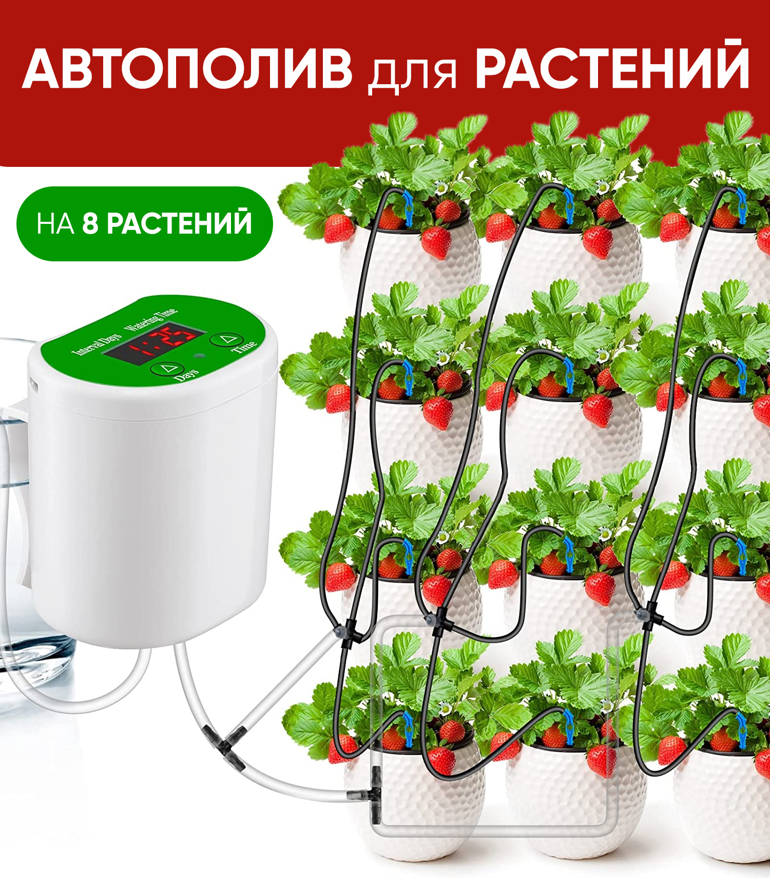 Автополив для 8 растений, автоматический полив комнатных растений капельный  - купить по низкой цене в интернет-магазине OZON (1542751494)