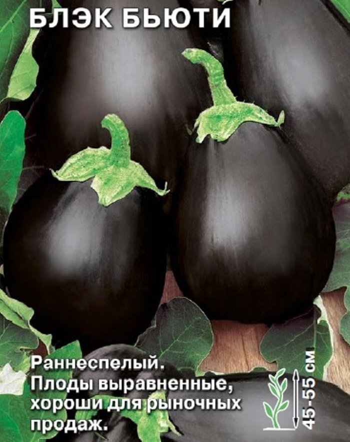 Баклажан нн