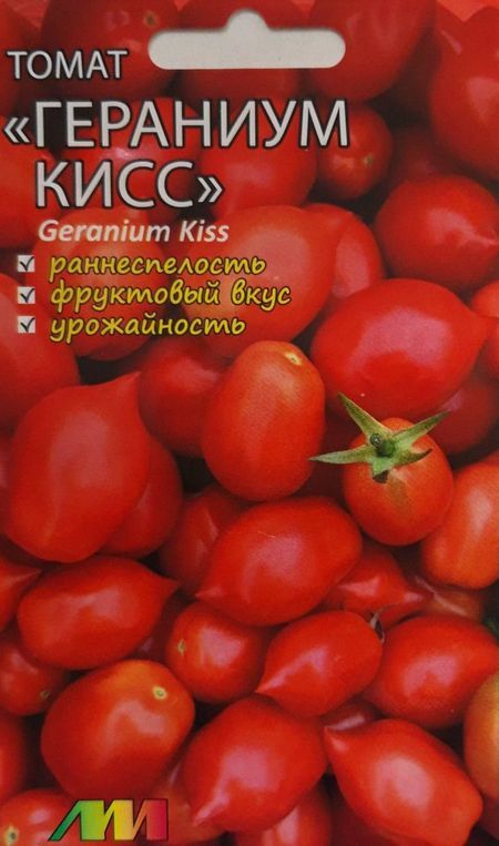 Сорт поцелуй герани фото и описание