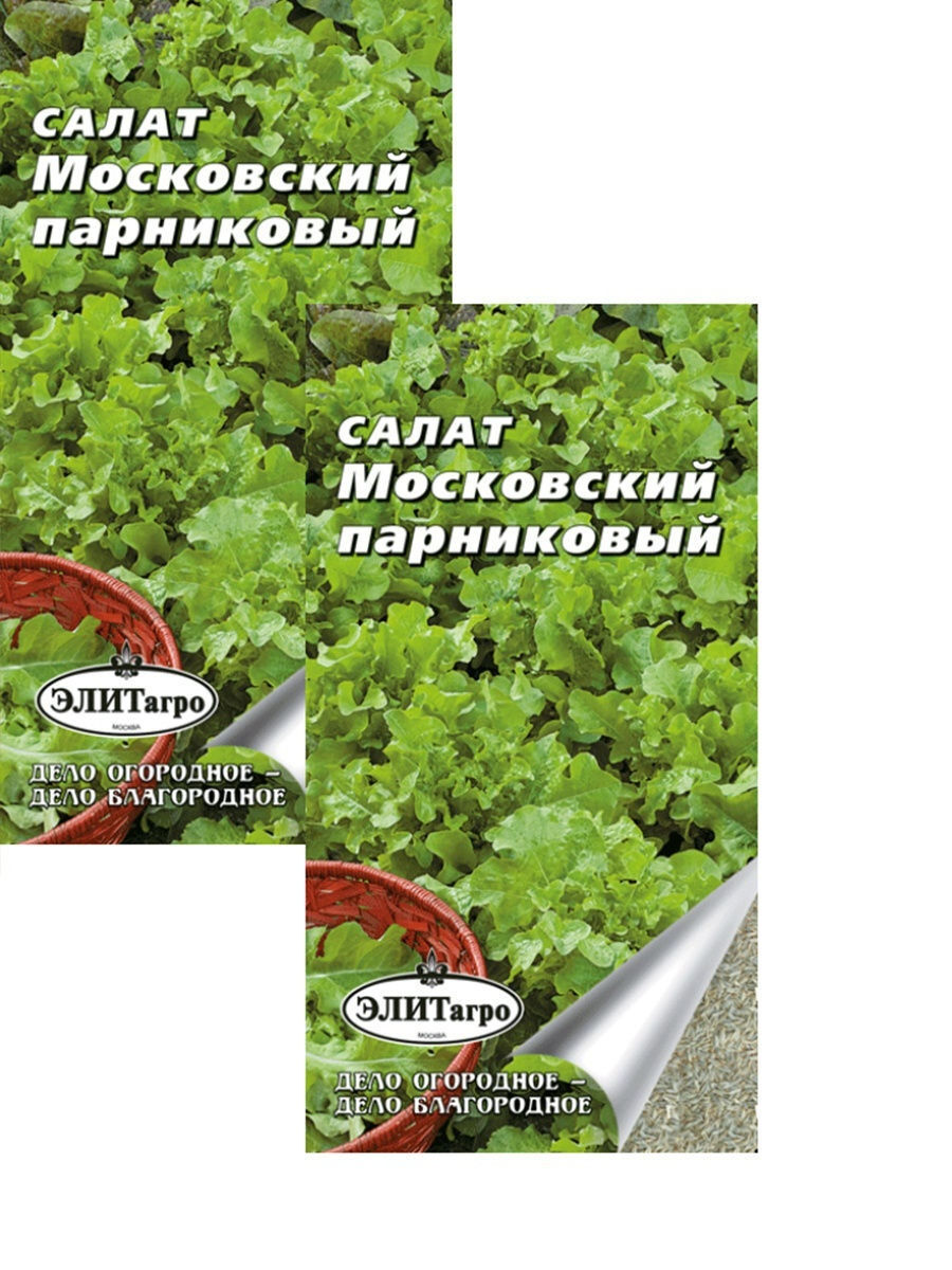 Салат московский парниковый описание. Салат Московский парниковый. Салат листовой Московский. Салат Московский семена. Сорт салата Московский парниковый.