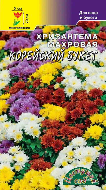 ХризантемамахроваяКорейскийбукет(семенаЦветущийсад)0,02г