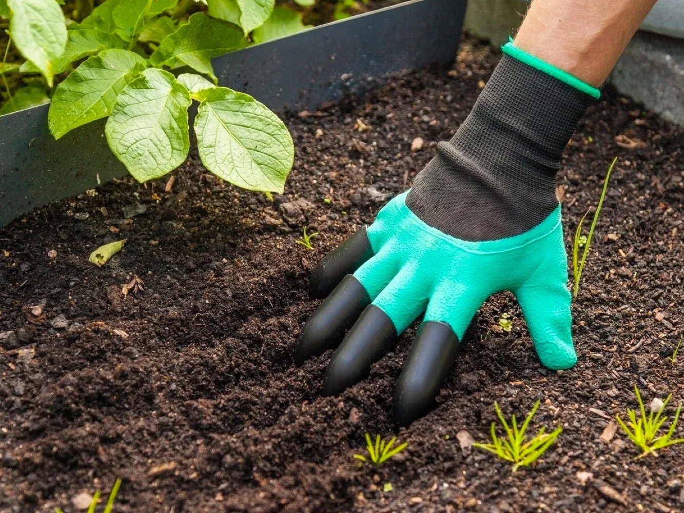 Gardens hands. Садовые перчатки Garden Genie Gloves. RZ-494 перчатки для сада и огорода Garden сenie Gloves. Садовые перчатки с когтями. Перчатка для сада с когтями.