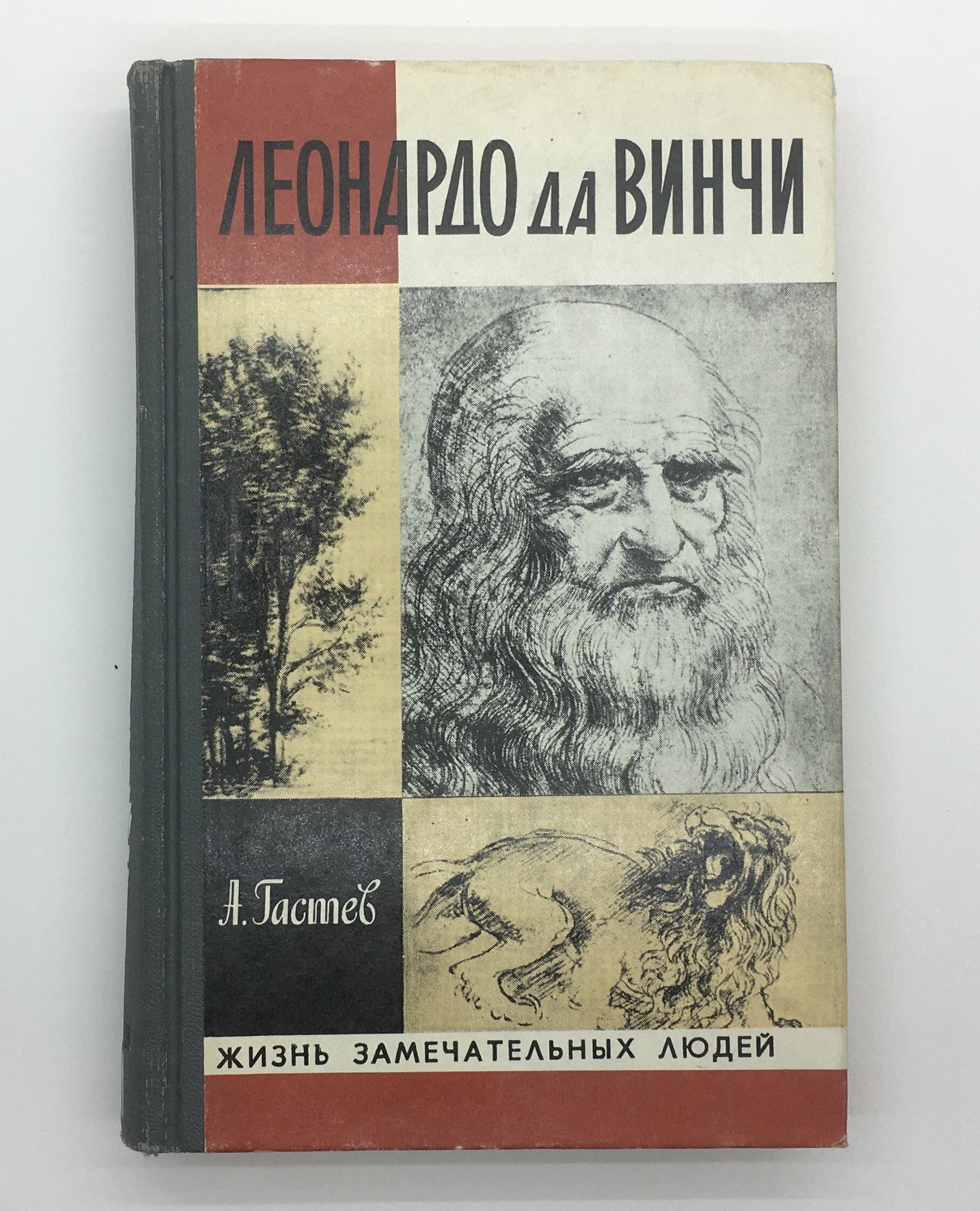 Магазин жзл. Леонардо да Винчи книги. ЖЗЛ Леонардо. Да Винчи ЖЗЛ.