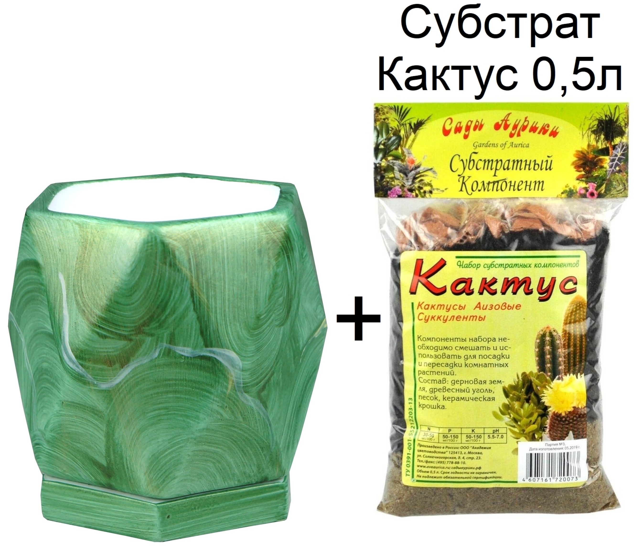 Кактус 11