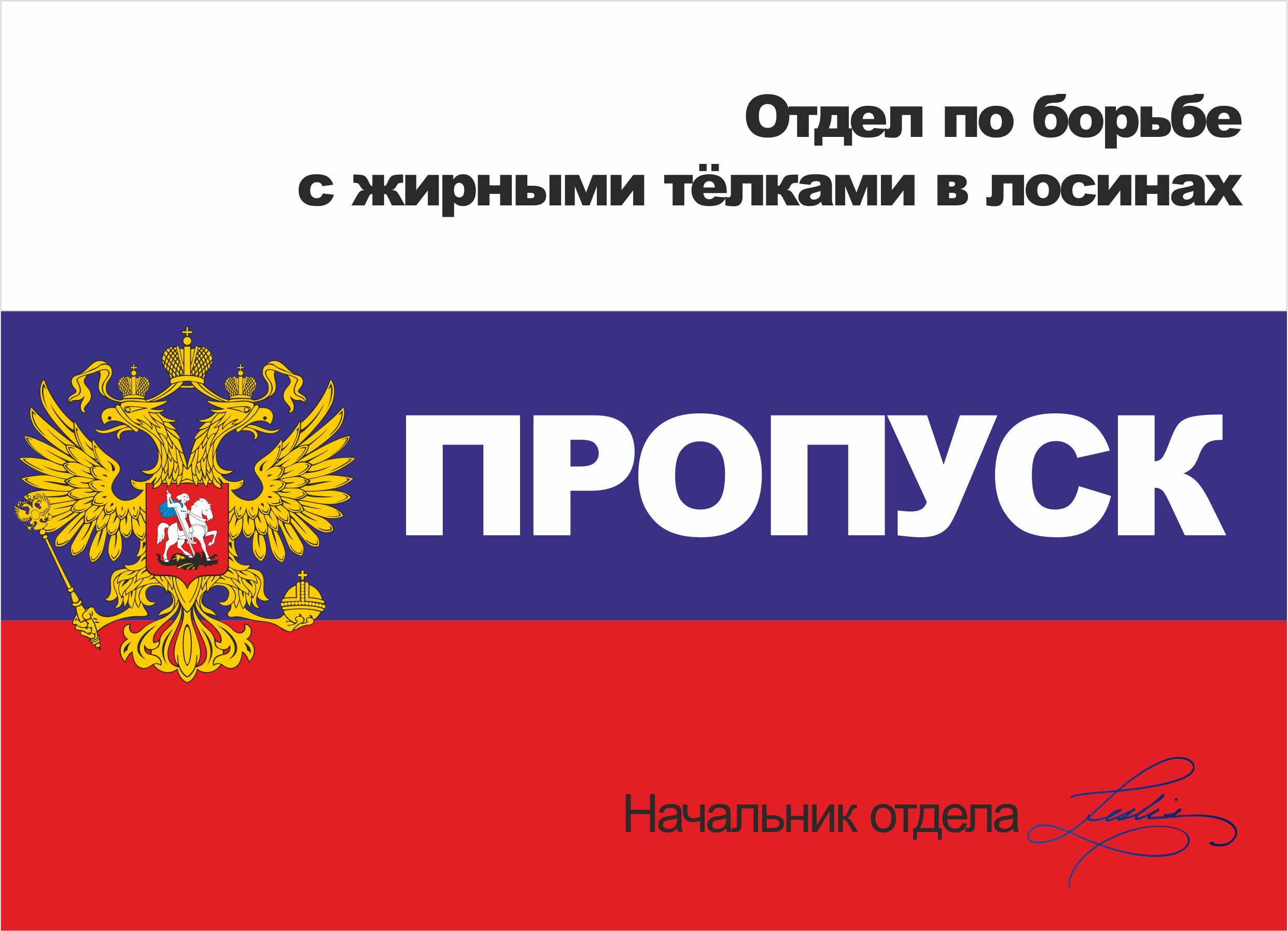 Пропуск лобовик. Сувенирный пропуск отдел по борьбе с жирными телками -  купить по выгодным ценам в интернет-магазине OZON (656726592)