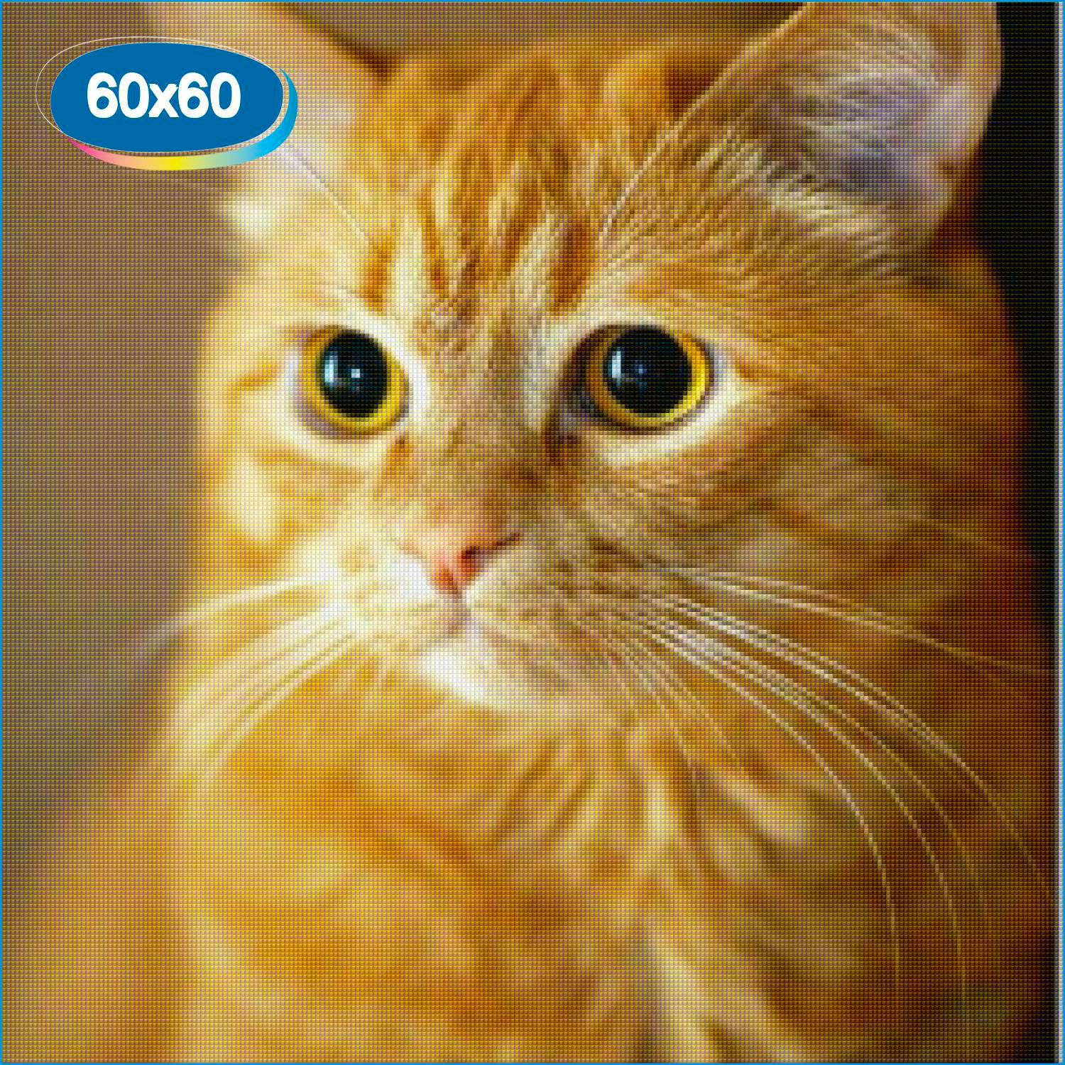 Кошка серая. Cat sed. Cat sed. Мемы с котиками. Cat sed.