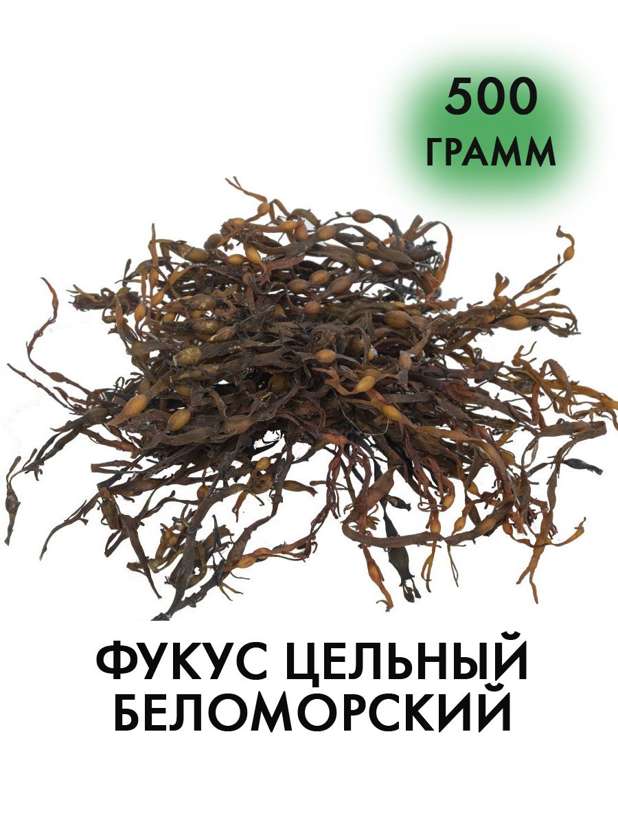 Сушеные Водоросли Ламинария Купить В Аптеке