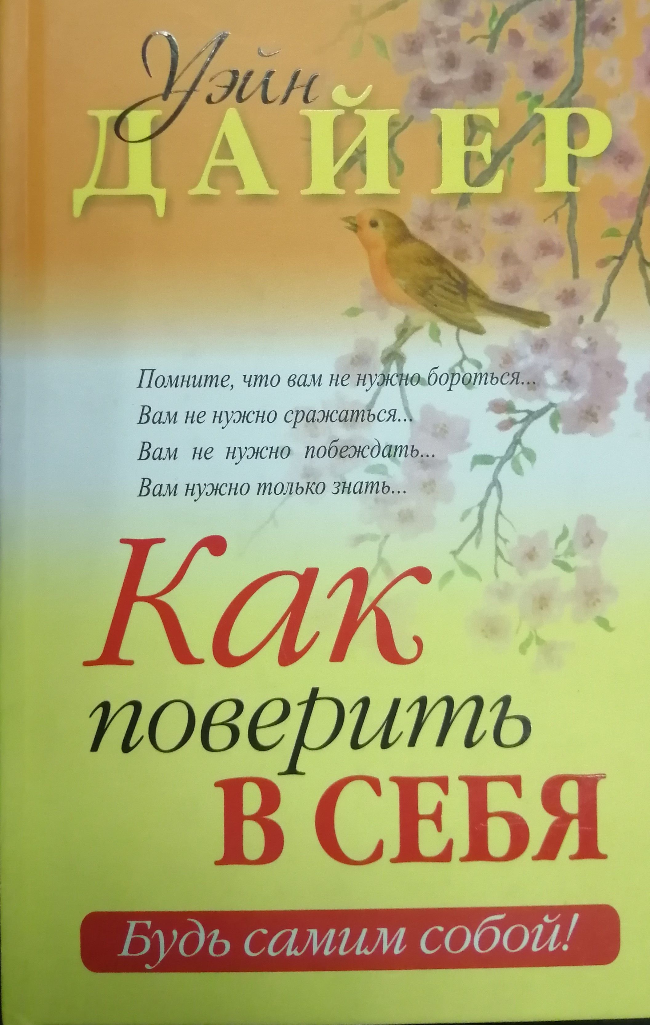 Дайер читать. Уэйн уолтер дайер. Дайер читать. «когда поверишь, тогда увидишь» (у. Дайер).