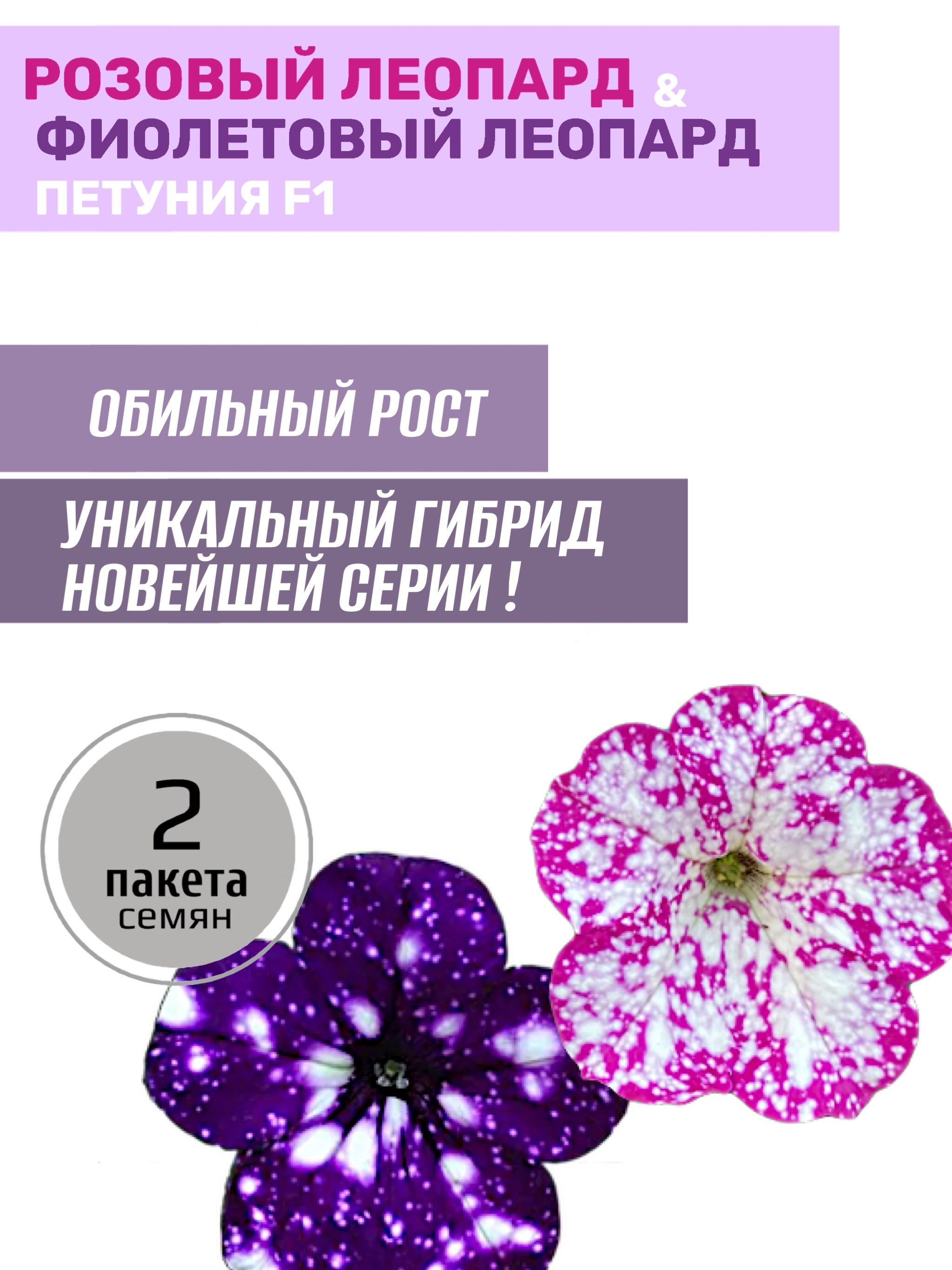 Петуния фиолетовый леопард. Петуния розовый леопард f1. Петуния f1 пятнистый леопард. Петуния фиолетовый леопард f1. Петуния розовый леопард русский огород.