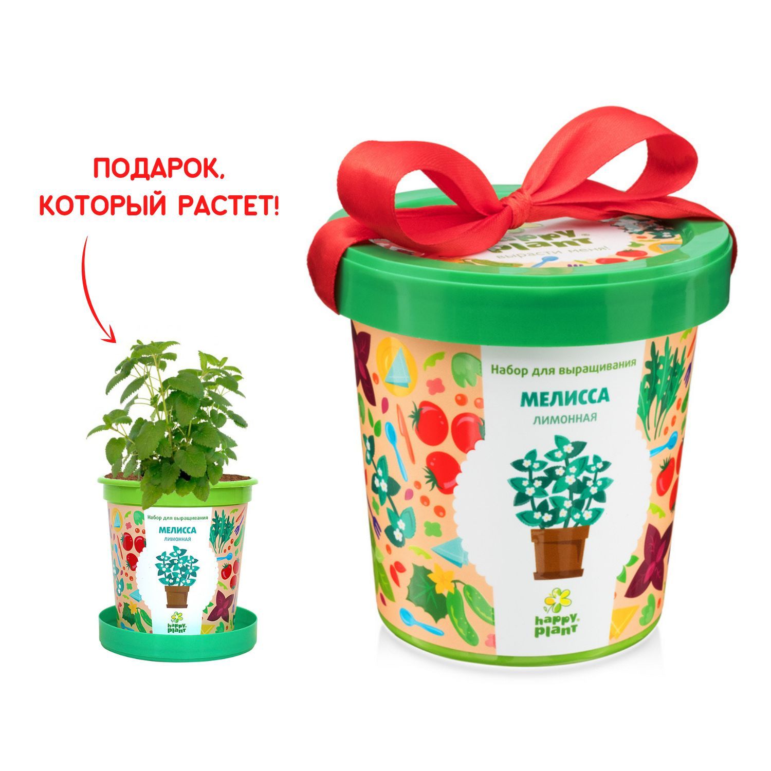 Набор для выращивания растений Happy Plant Мелисса лимонная, семена  комнатных растений в подарочном горшке