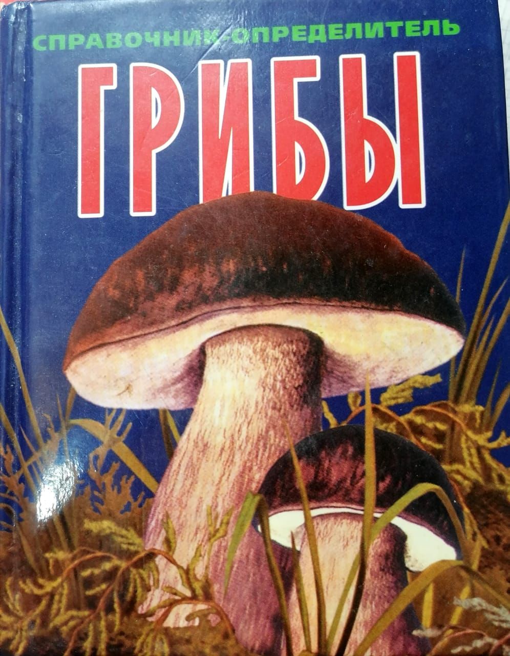 грибная энциклопедия определитель грибов с фото