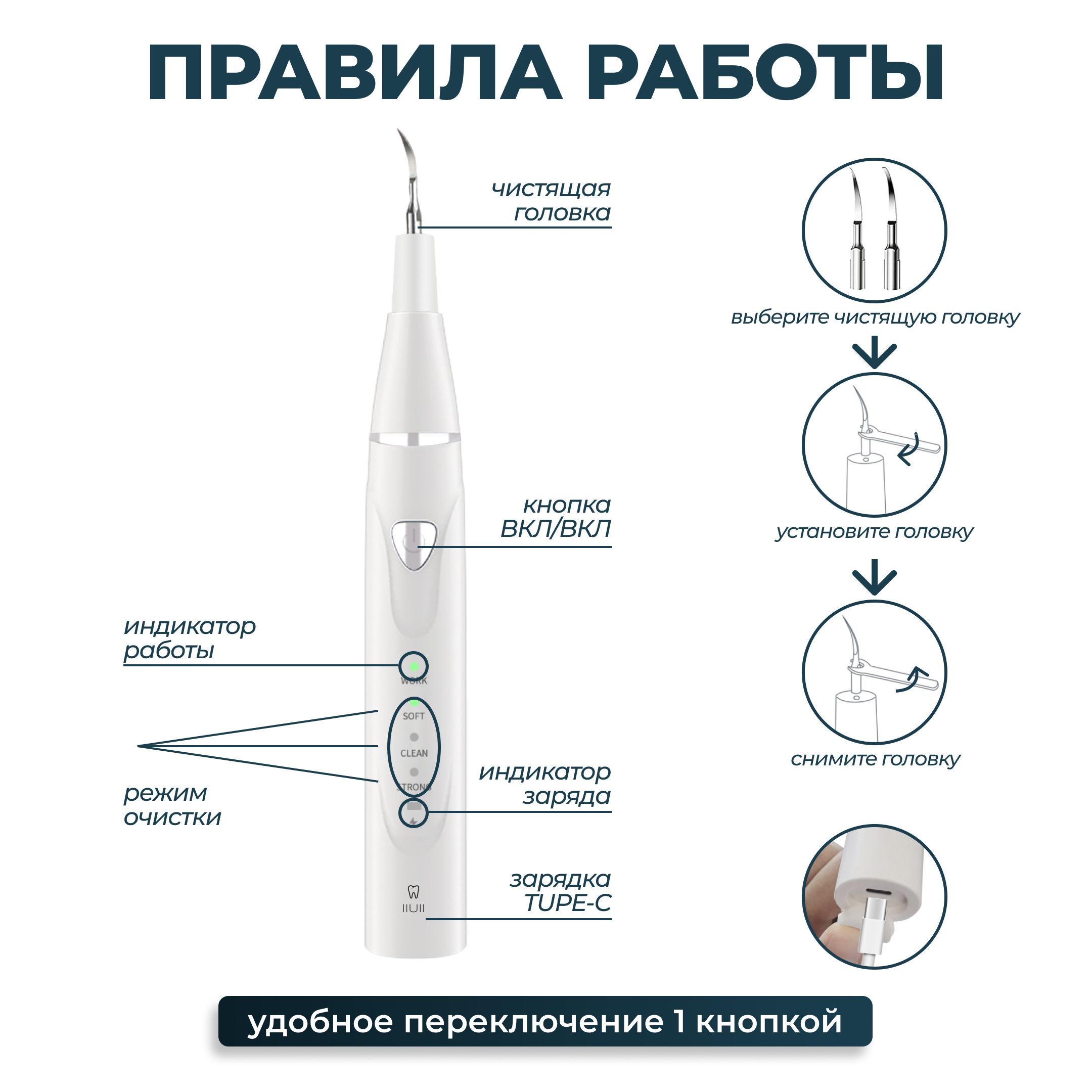 Скалер Для Собак Купить Ультразвуковой Чистки Зубов