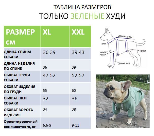 размер длина спины. измерить собаку для одежды. размер спины. размер длина спины. серки для одежды собаке.