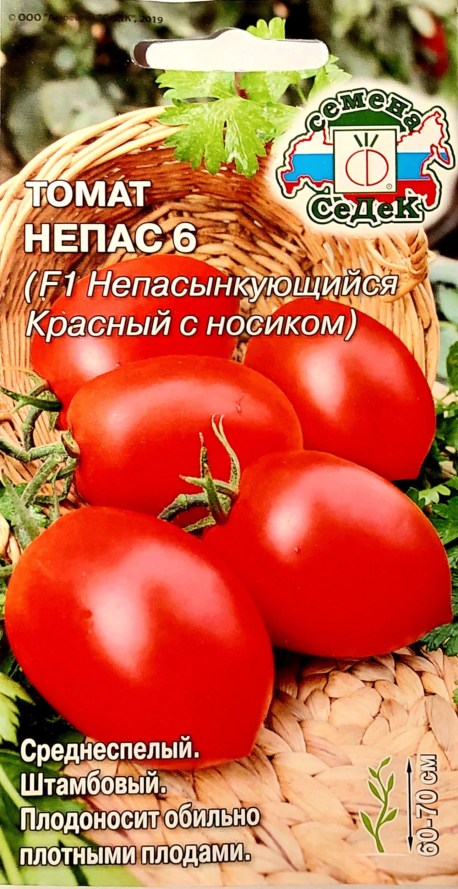 Особенности внешнего вида и характеристик