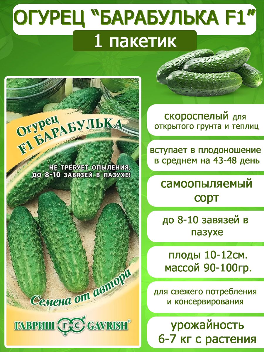 Сорт огурцов барабулька. Огурец Барабулька. Барабулька огурцы описание. Огурец Барабулька отзывы фото. Гавриш огурец Барабулька f1.