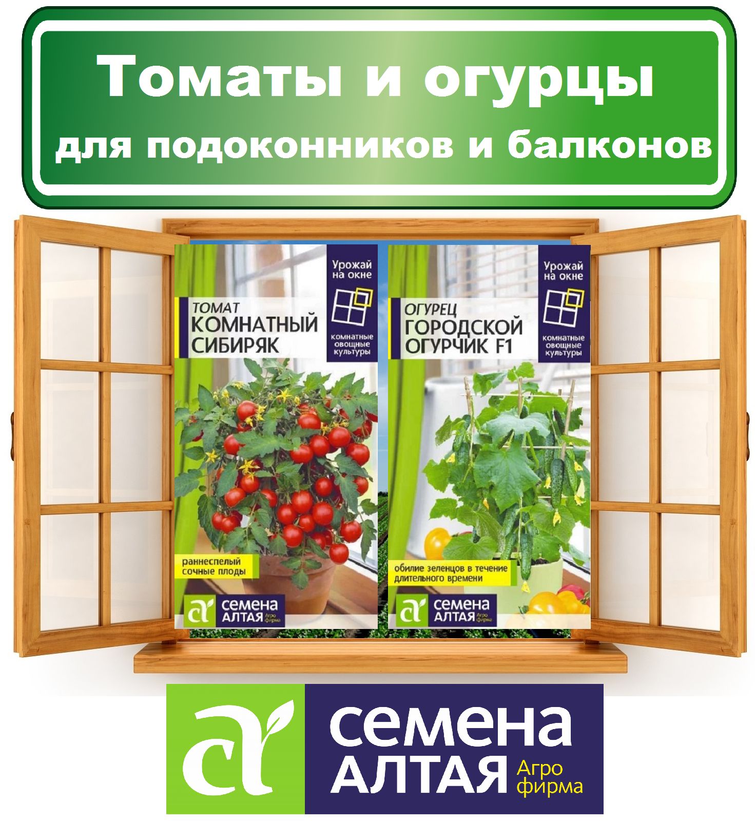 Наборсемяндляподоконникаибалкона:томатиогурец