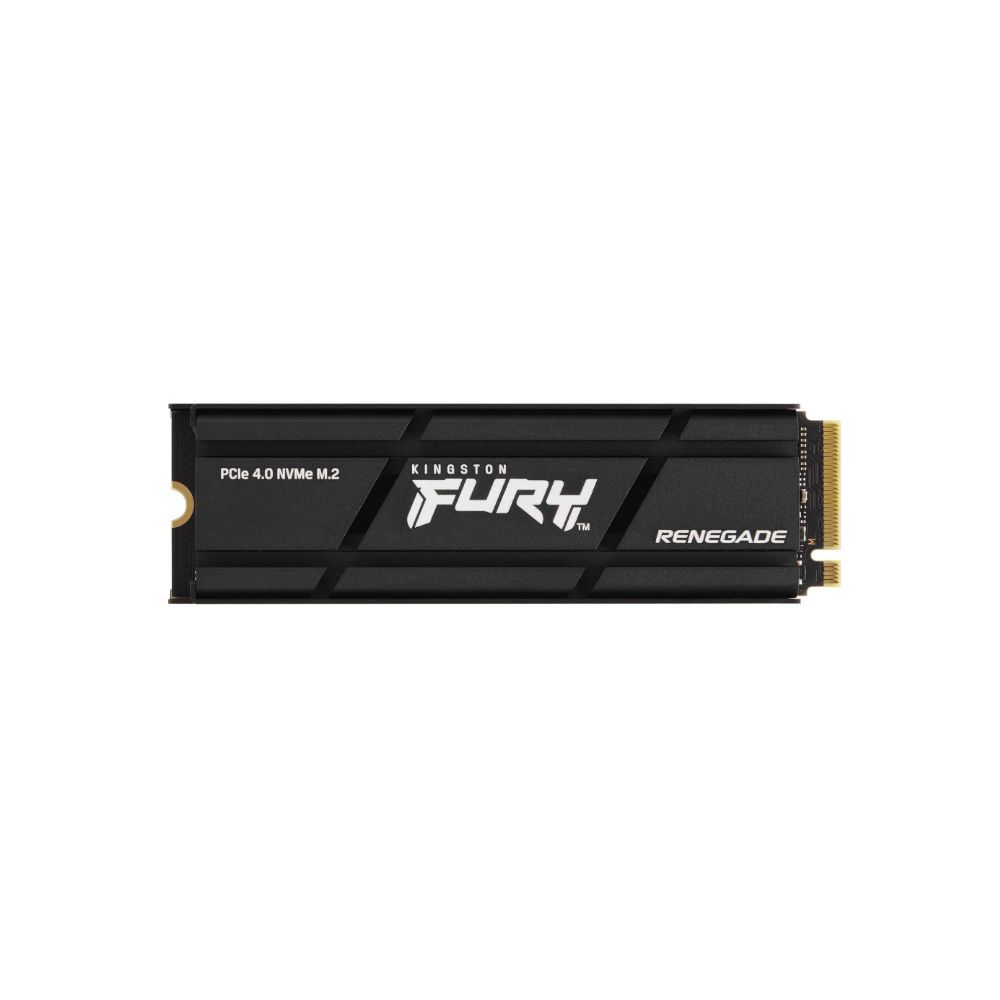 Ssd fury renegade