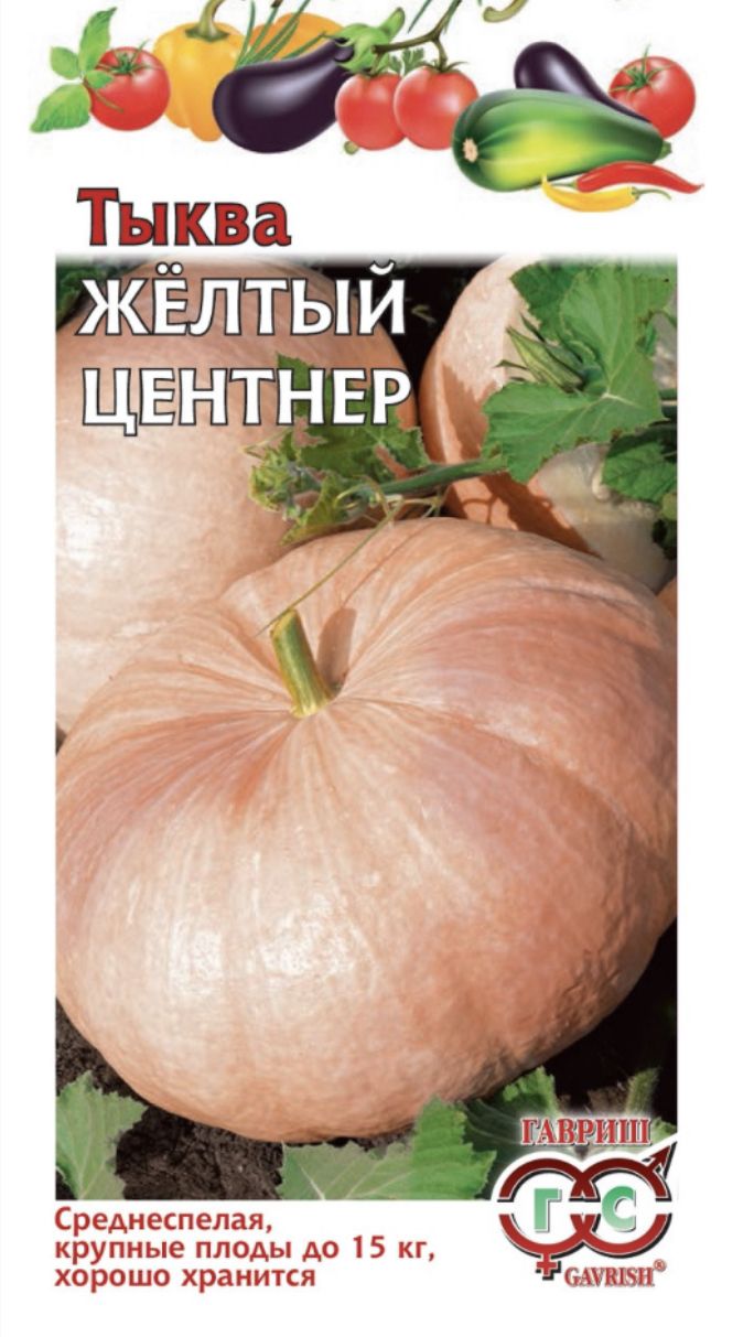 Семена Тыквы Купить В Новосибирске