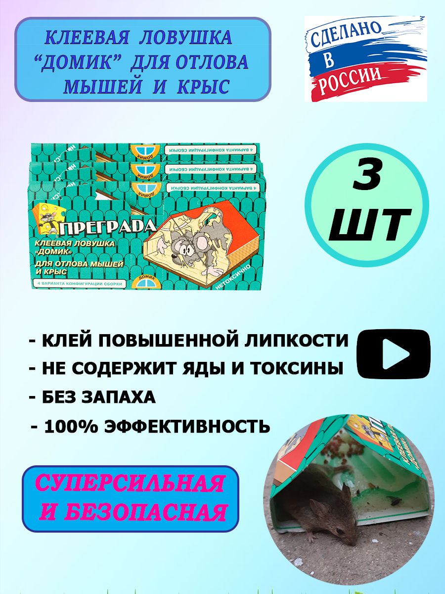 Простая, но эффективная ловушка для крыс и мышей