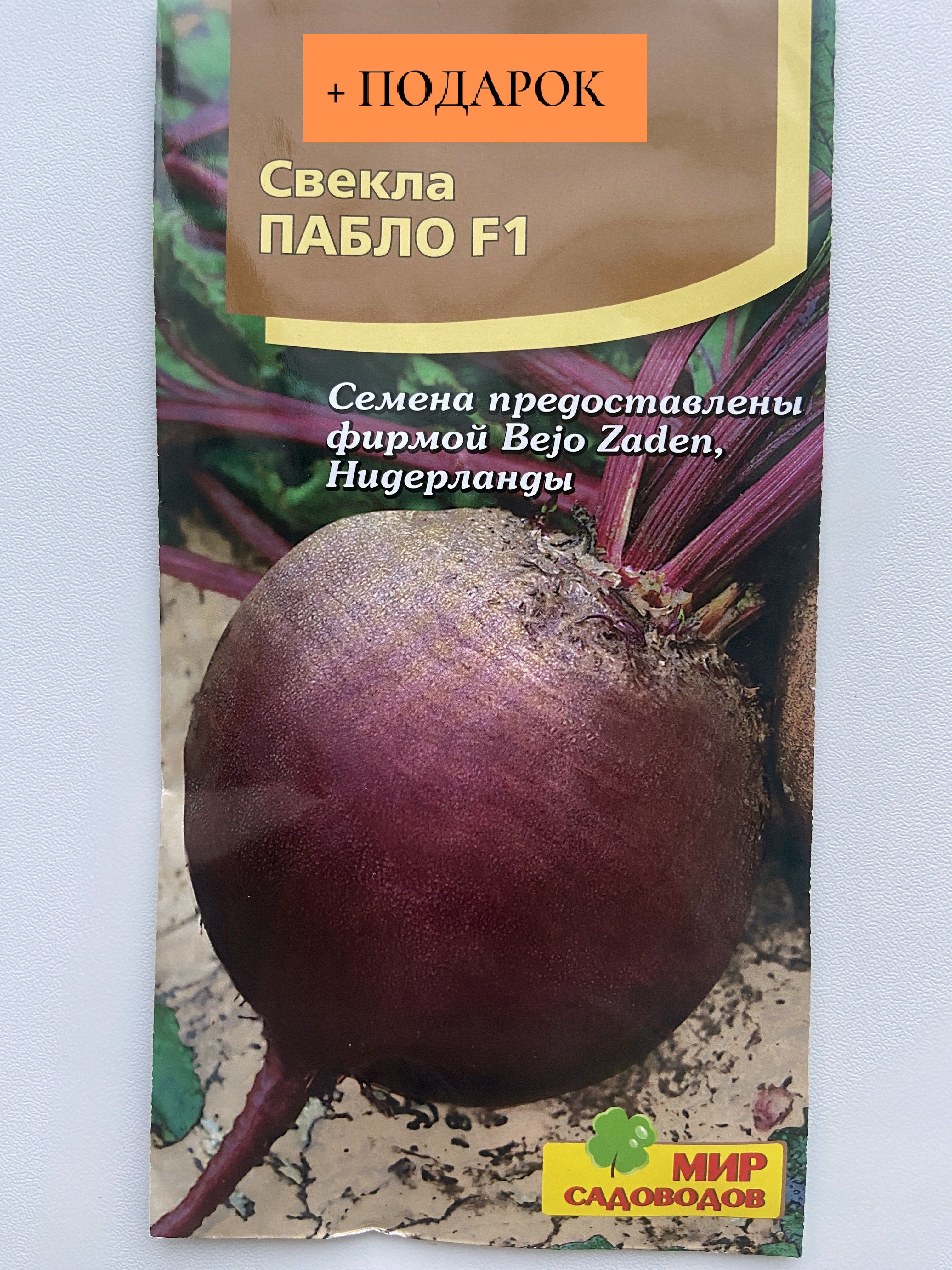 Свекла пабло описание сорта. Свекла Пабло Гавриш. Семена свекла Пабло f1 80шт. Семена столовой свеклы Пабло. Мир садоводов свекла.