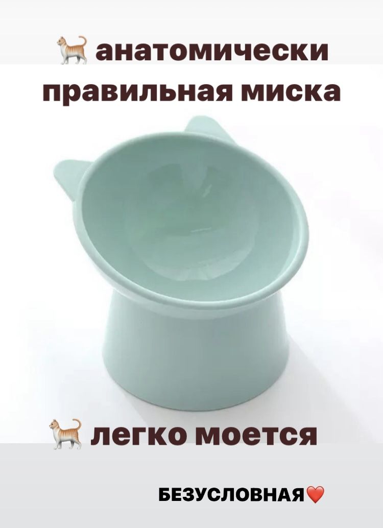 Миска для животных высокая, пластиковая, анатомическая миска для кошек и собак