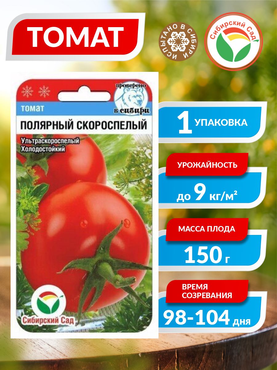 Сорт Томатов Сибирский Скороспелый Отзывы Фото