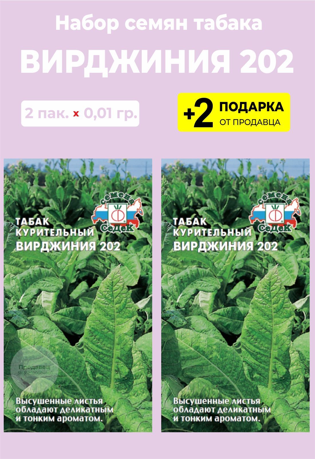 Сорт табака вирджиния описание. Табак курительный Вирджиния 202. Сорт табака Вирджиния. Семена табака Вирджиния. Таблички Вирджиния 202 семена.