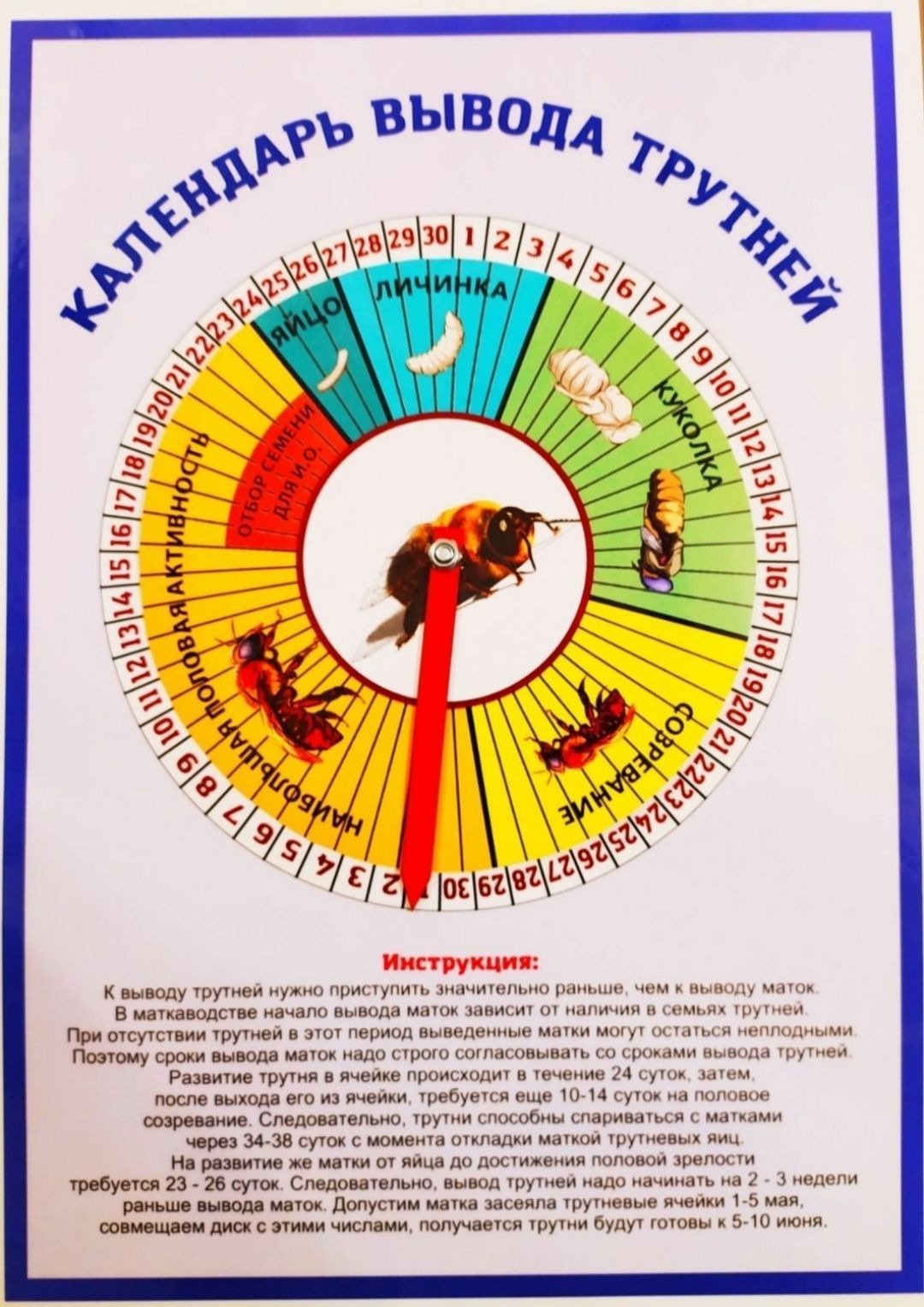 Календарь вывода трутней 5 штук, - купить с доставкой по выгодным ценам в  интернет-магазине OZON (906575671)