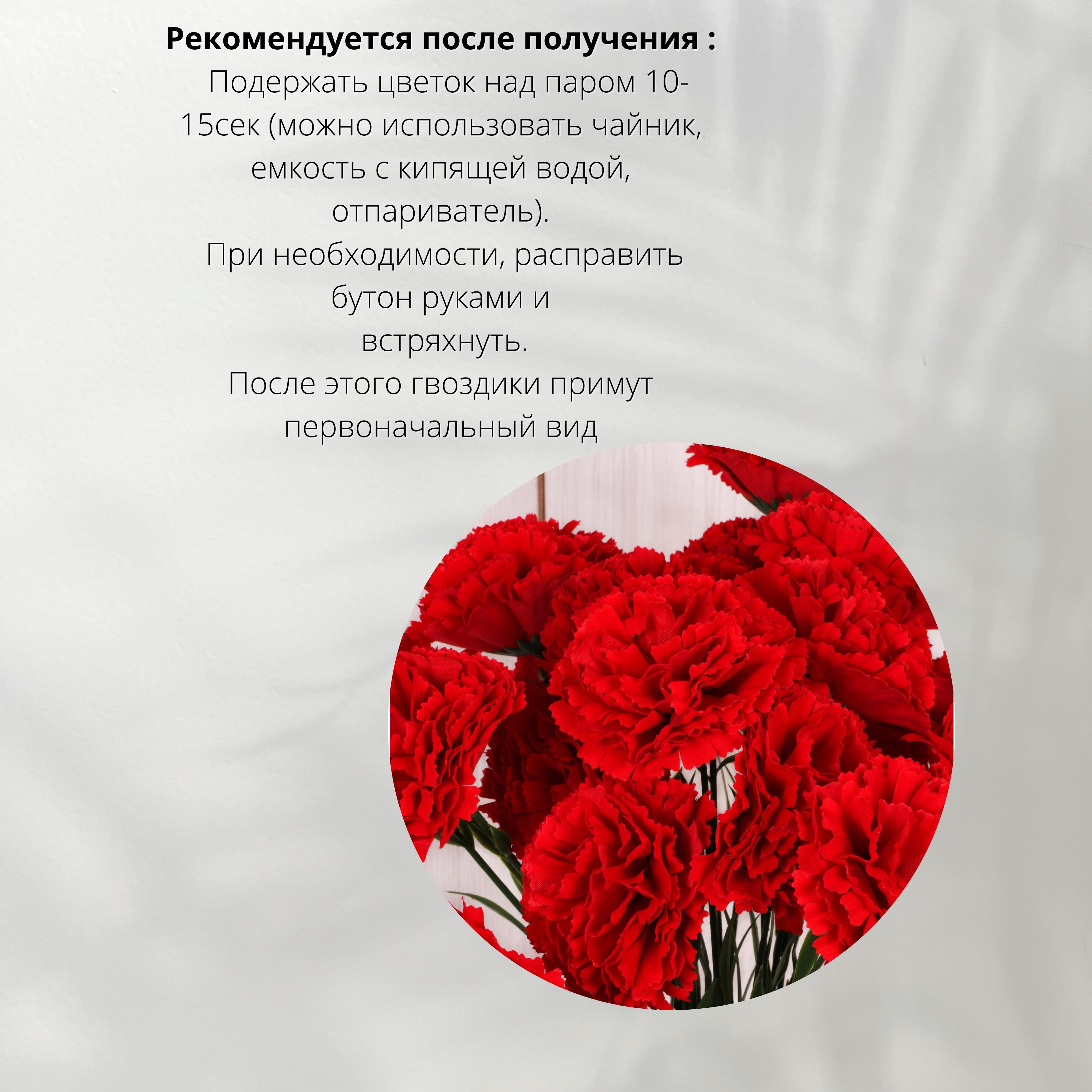 20 Гвоздик. 35 Гвоздик.