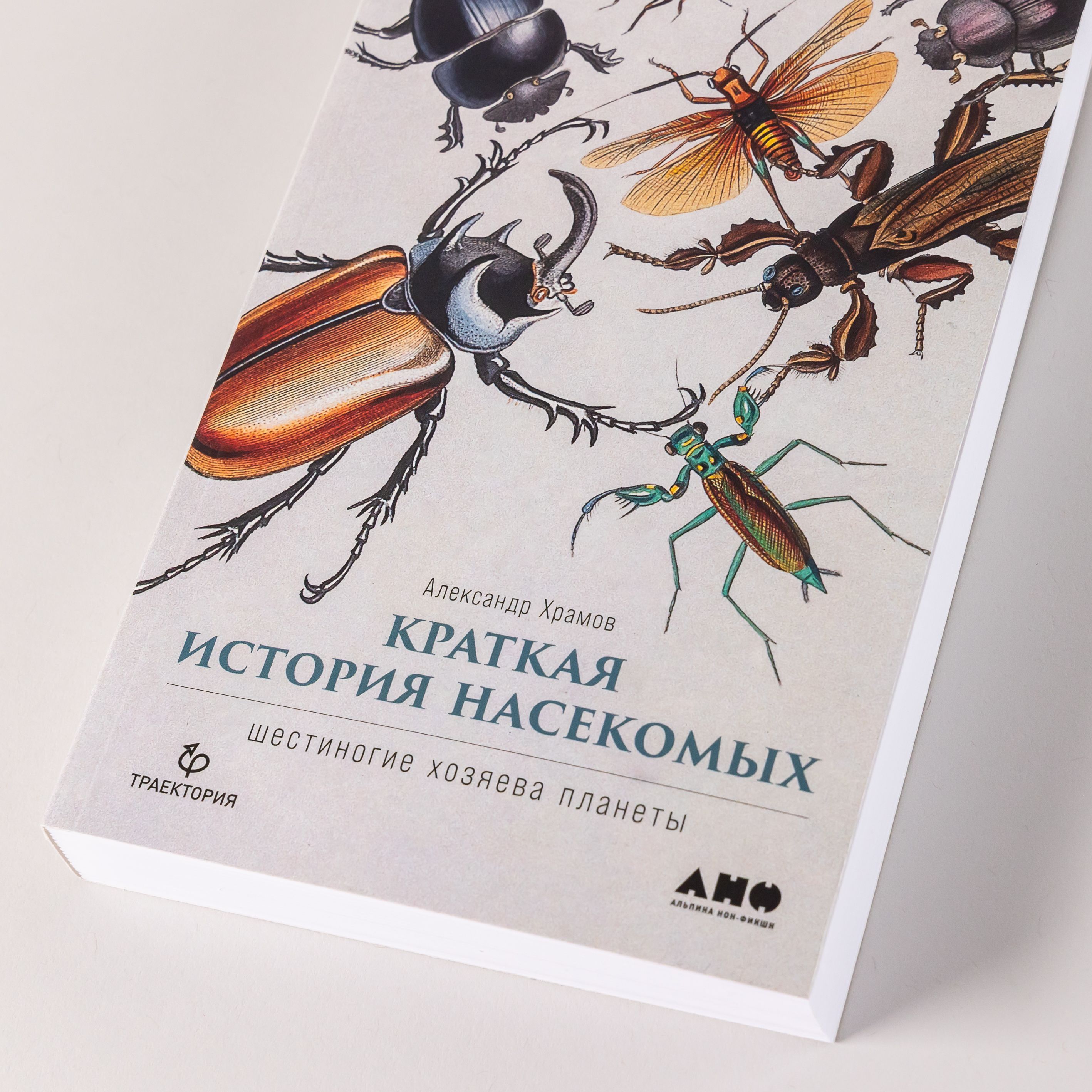 Краткая история насекомых: Шестиногие хозяева планеты | Храмов Александр  Валерьевич - купить с доставкой по выгодным ценам в интернет-магазине OZON  (1198867380)