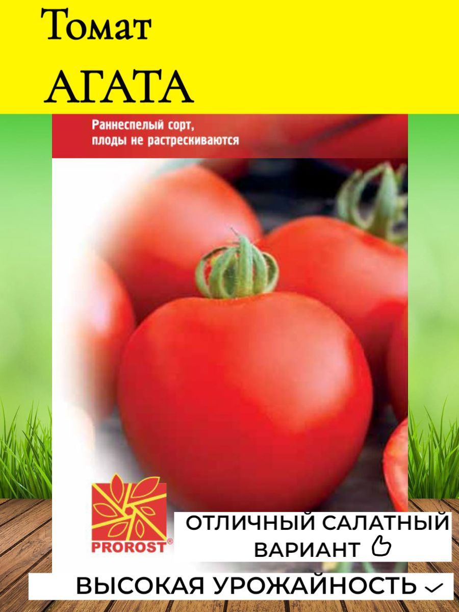 Томат Агата Характеристика И Фото