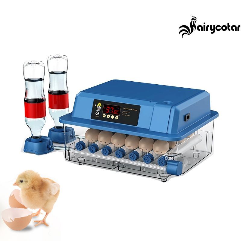 Автоматический инкубатор 12 яиц. Китайский инкубатор на 24 яйца.
