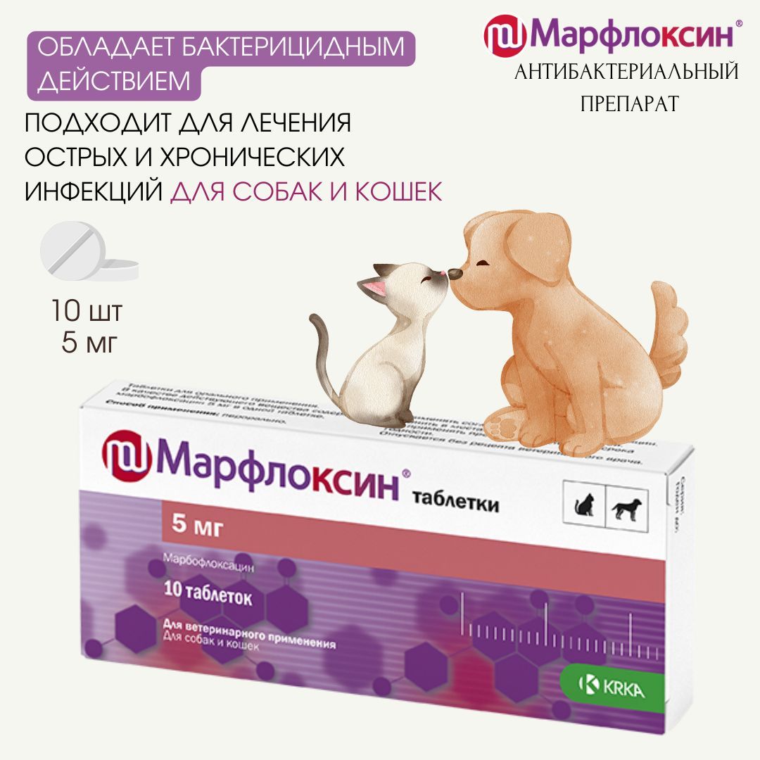 Марфлоксин для кошек