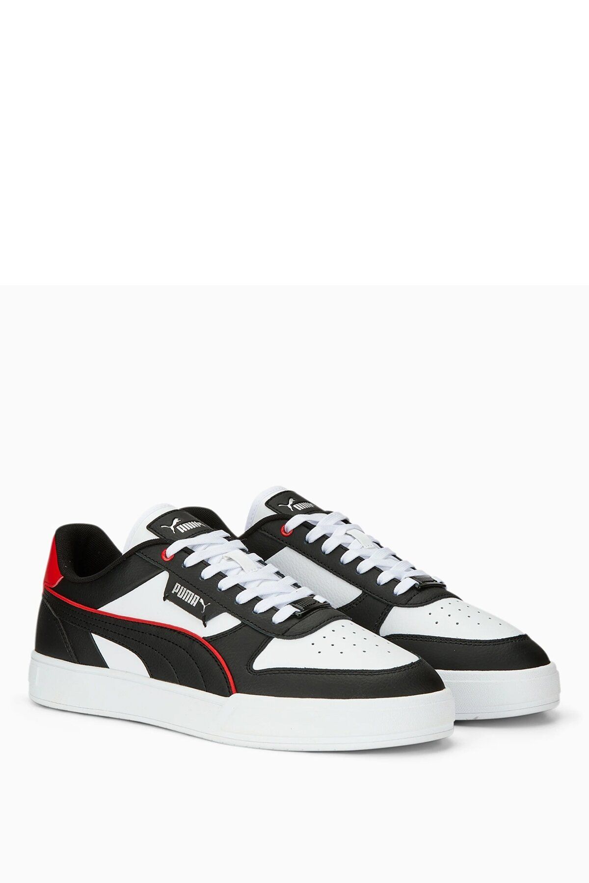 Puma caven dime