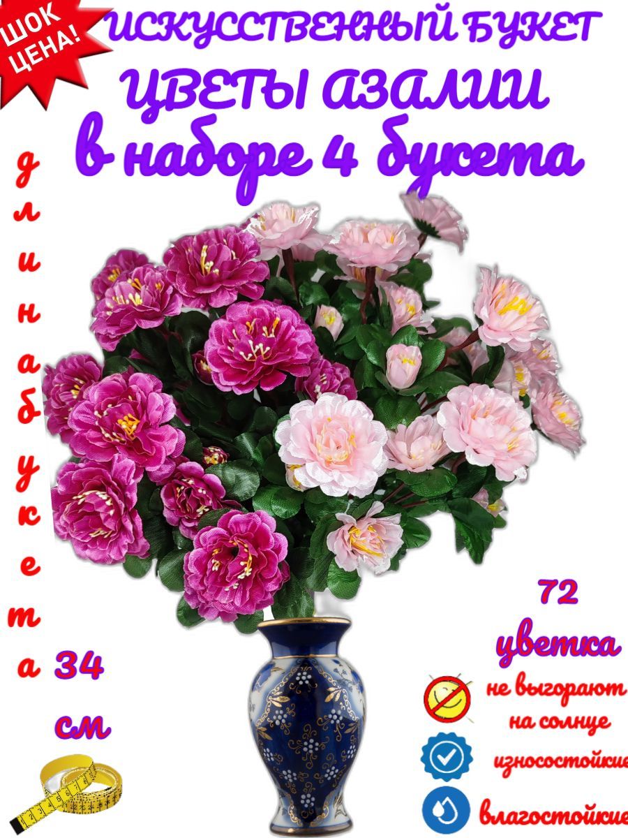 Цветок Азалия Купить В Москве