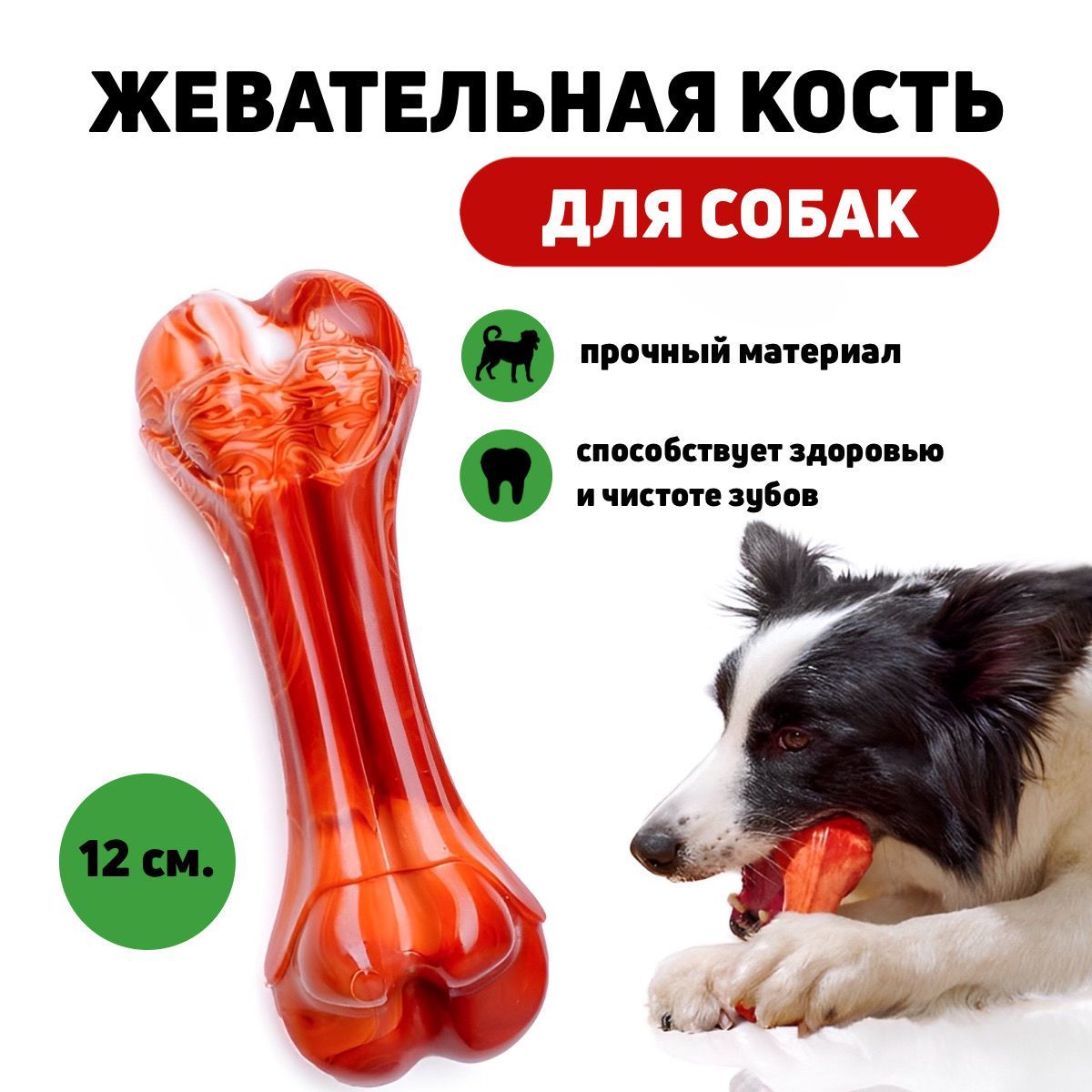 С днем косточки собаке открытка