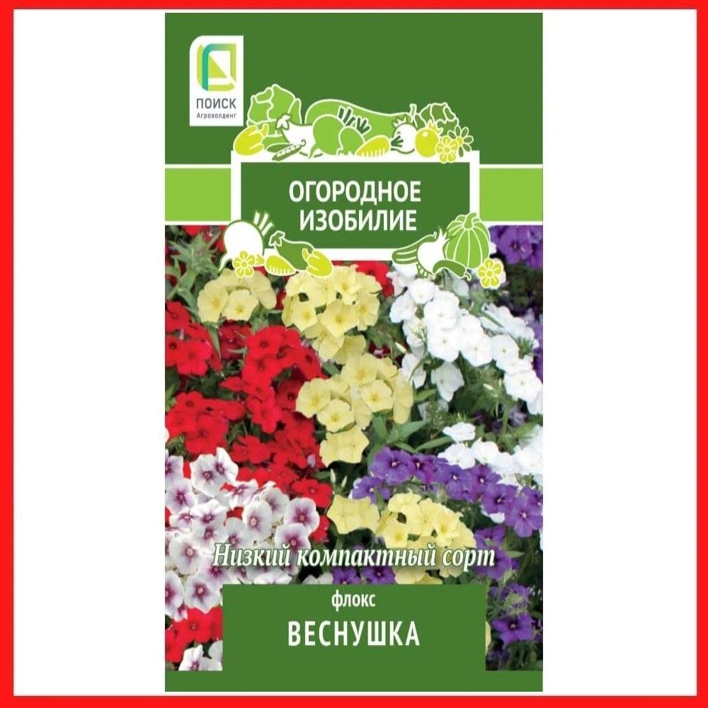 Флокс веснушка. Флокс Босфор скабиоза цветник. Флокс Босфор. Флокс Босфор цветник.