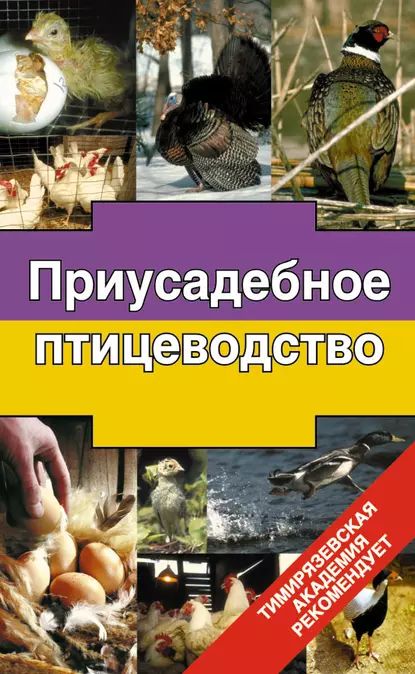 Приусадебное птицеводство | Бондарев Эдуард Иванович | Электронная книга