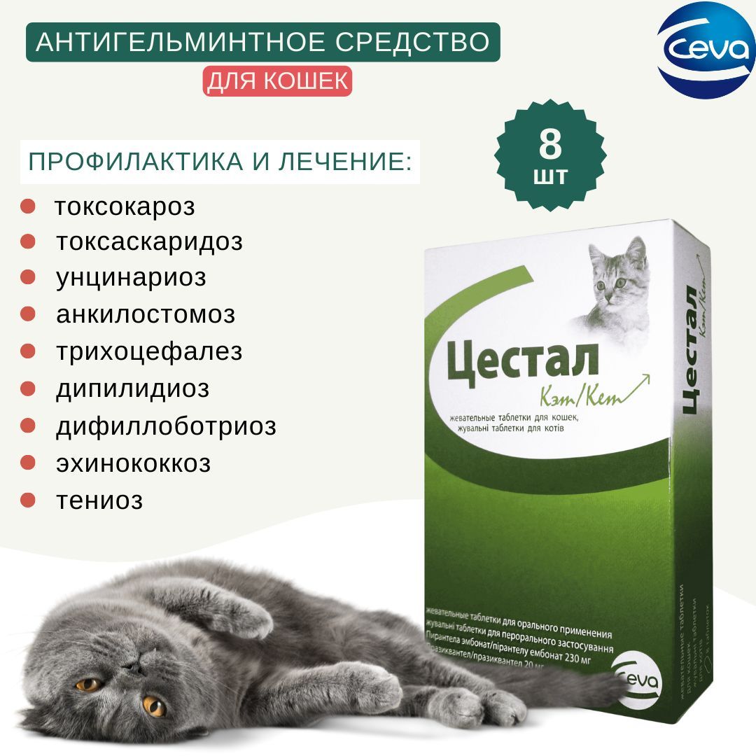 Цестал для кошек