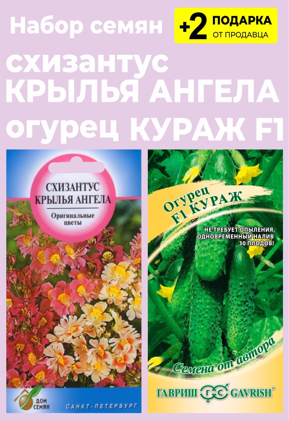 Схизантус Купить Семена В Партнере