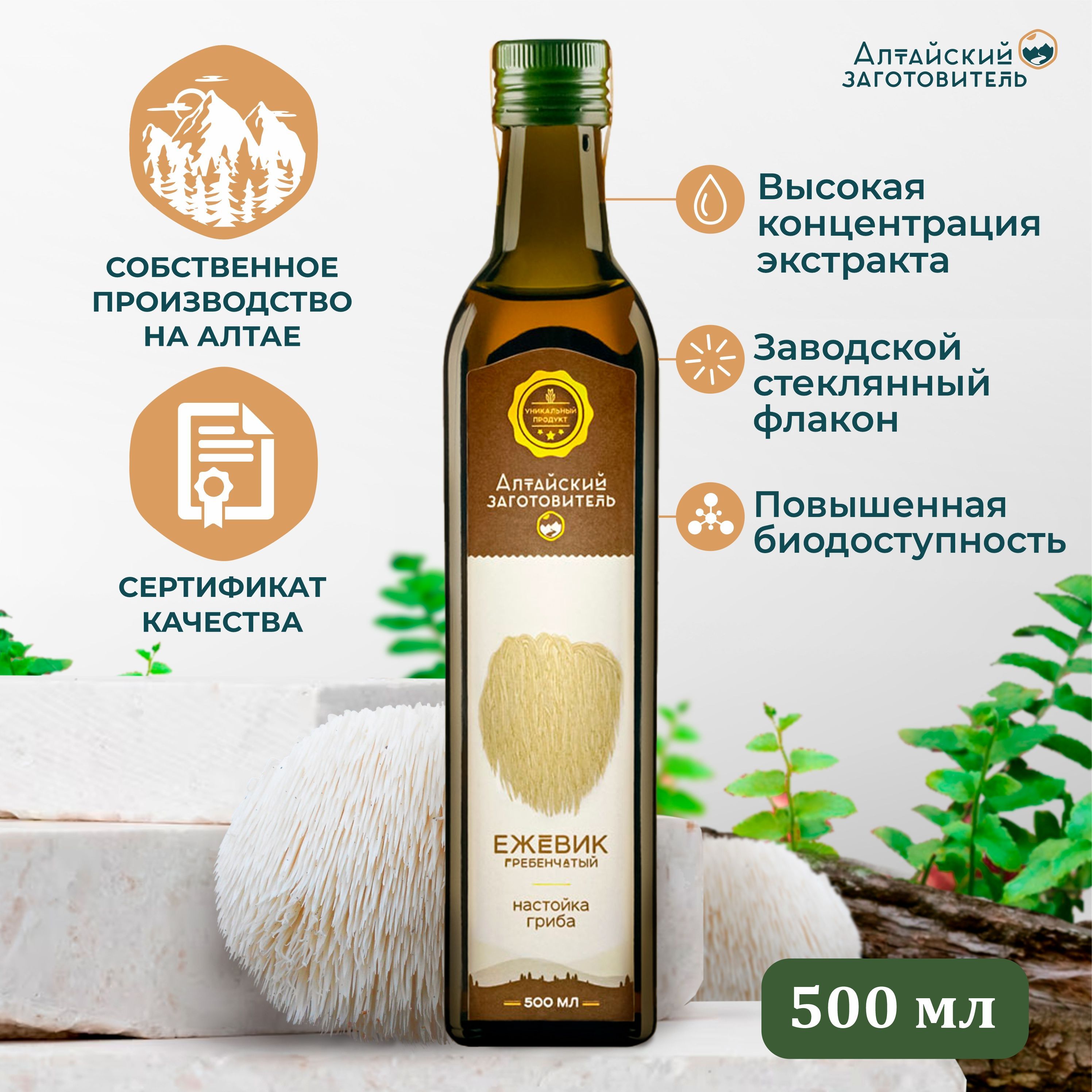 Экстракт настойка гриба Ежевик гребенчатый/ Ежовик/ Lions Mane - Алтайский  заготовитель, 500 мл - купить с доставкой по выгодным ценам в  интернет-магазине OZON (562065049)