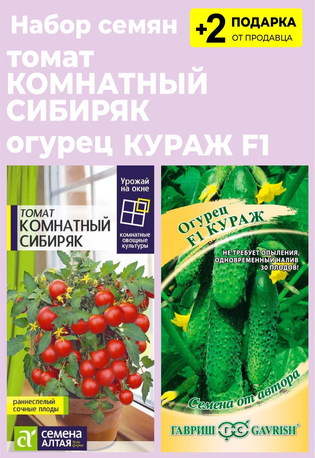 Сибиряк семена. Томат чудо дерево f1. Томат комнатный Сибиряк. Помидоры комнатный Сибиряк. Томат Вилма характеристика и описание.